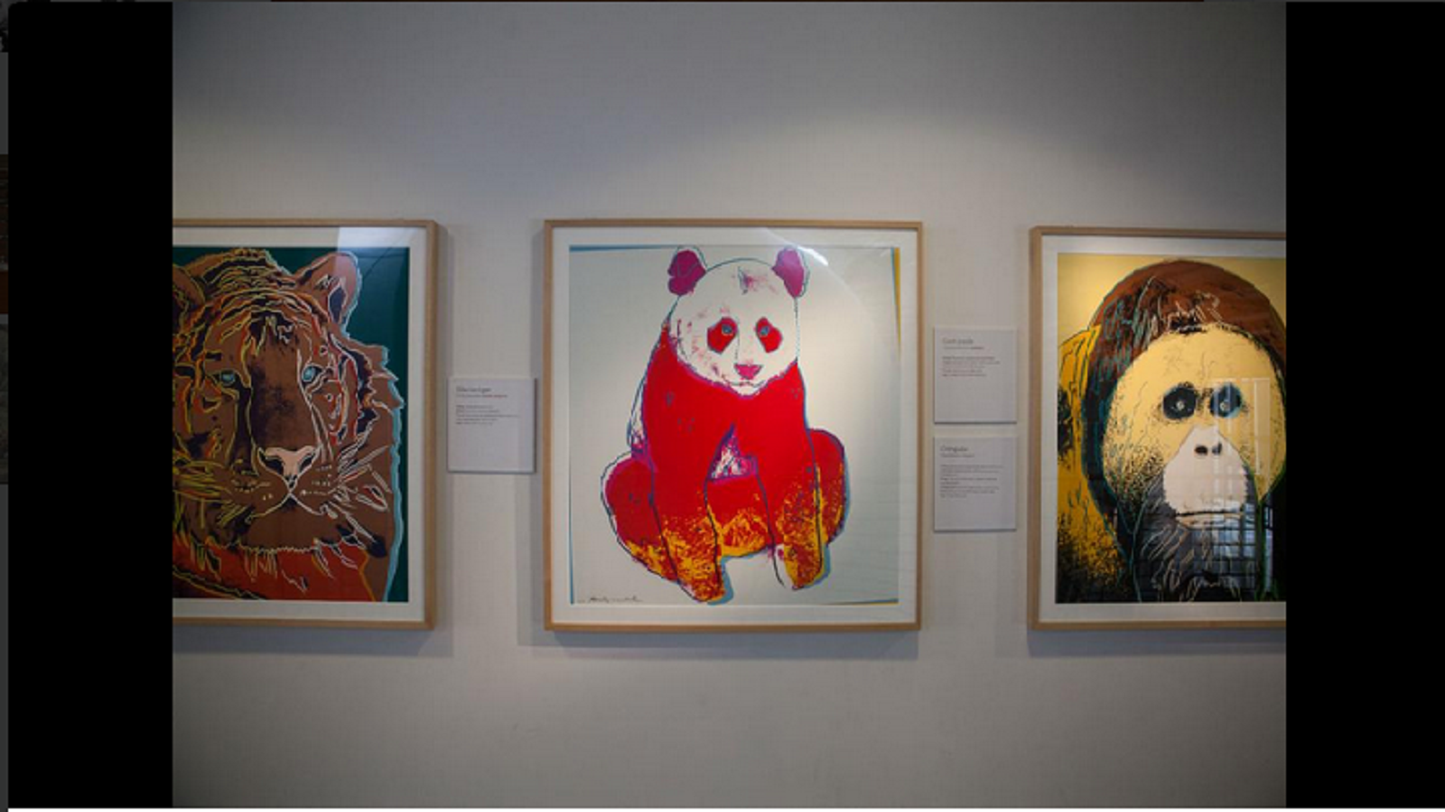 هل تعلم أن الرسومات المعلقة في الطابق 3 في متحف أكاديمية كاليفورنيا هي للرسام آندي وارهول؟