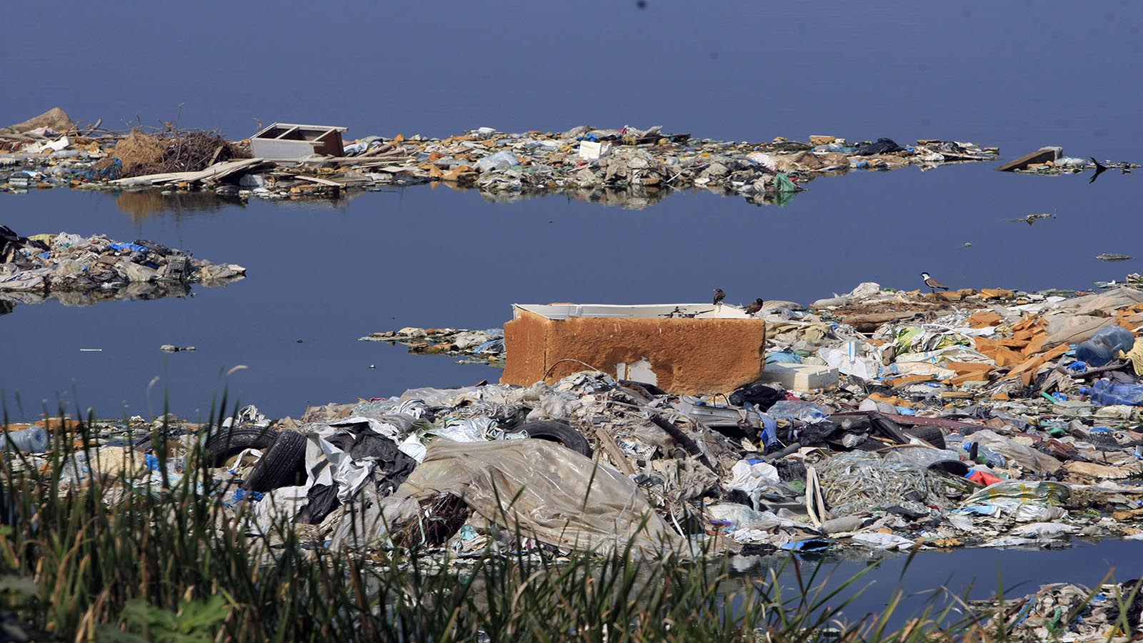 بالصور: النفايات تسبح في بحر صيدا