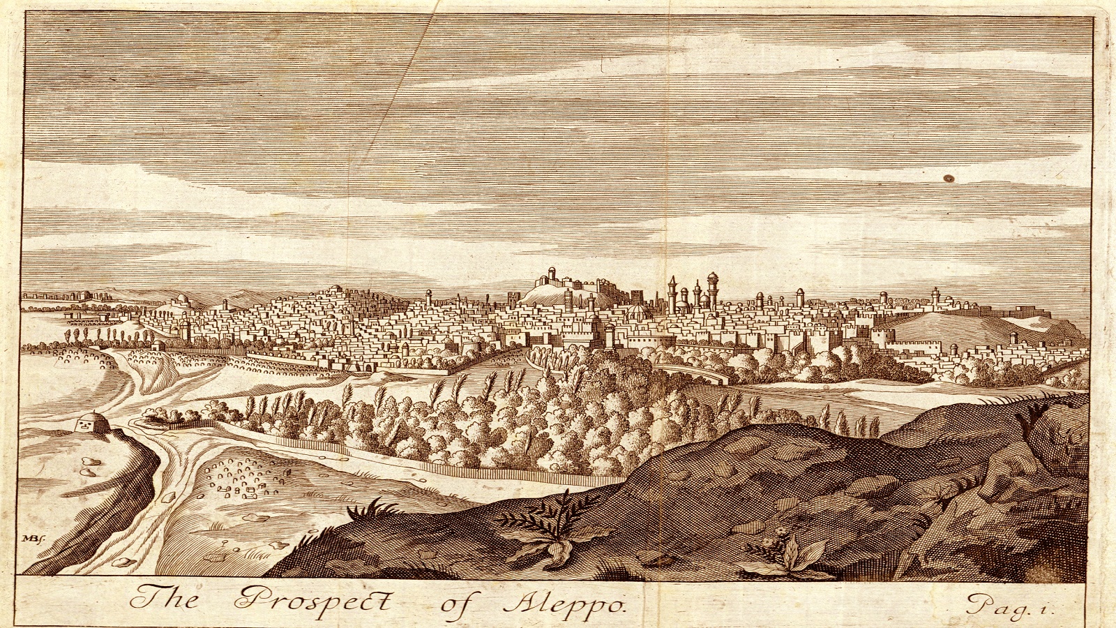 حلب في لوحة 1703