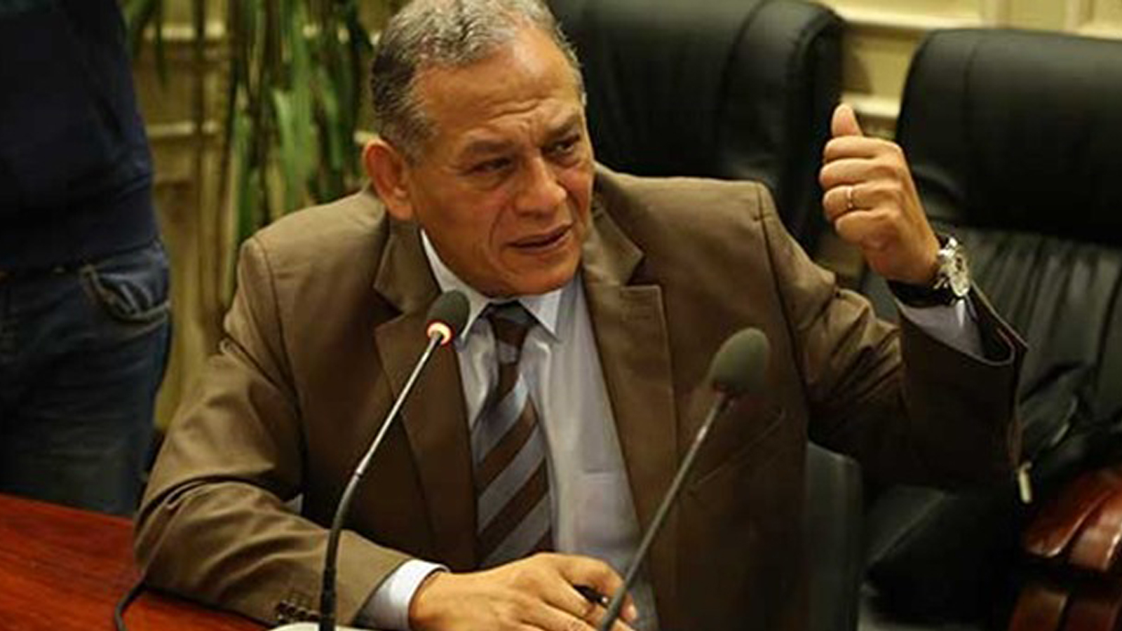 مجلس النواب المصري ُيقصي السادات