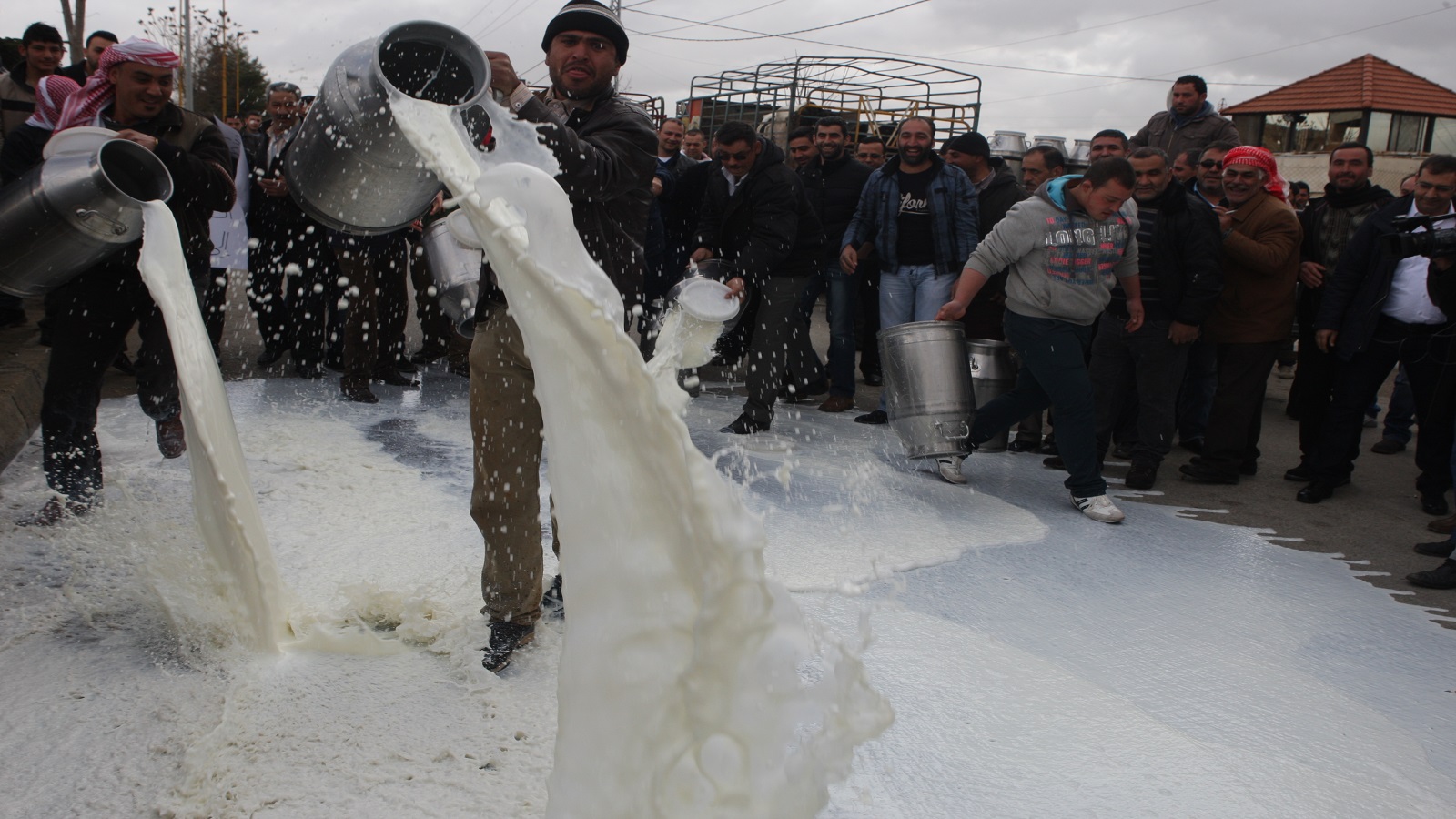 الحليب اللبناني يخسر أمام البودرة