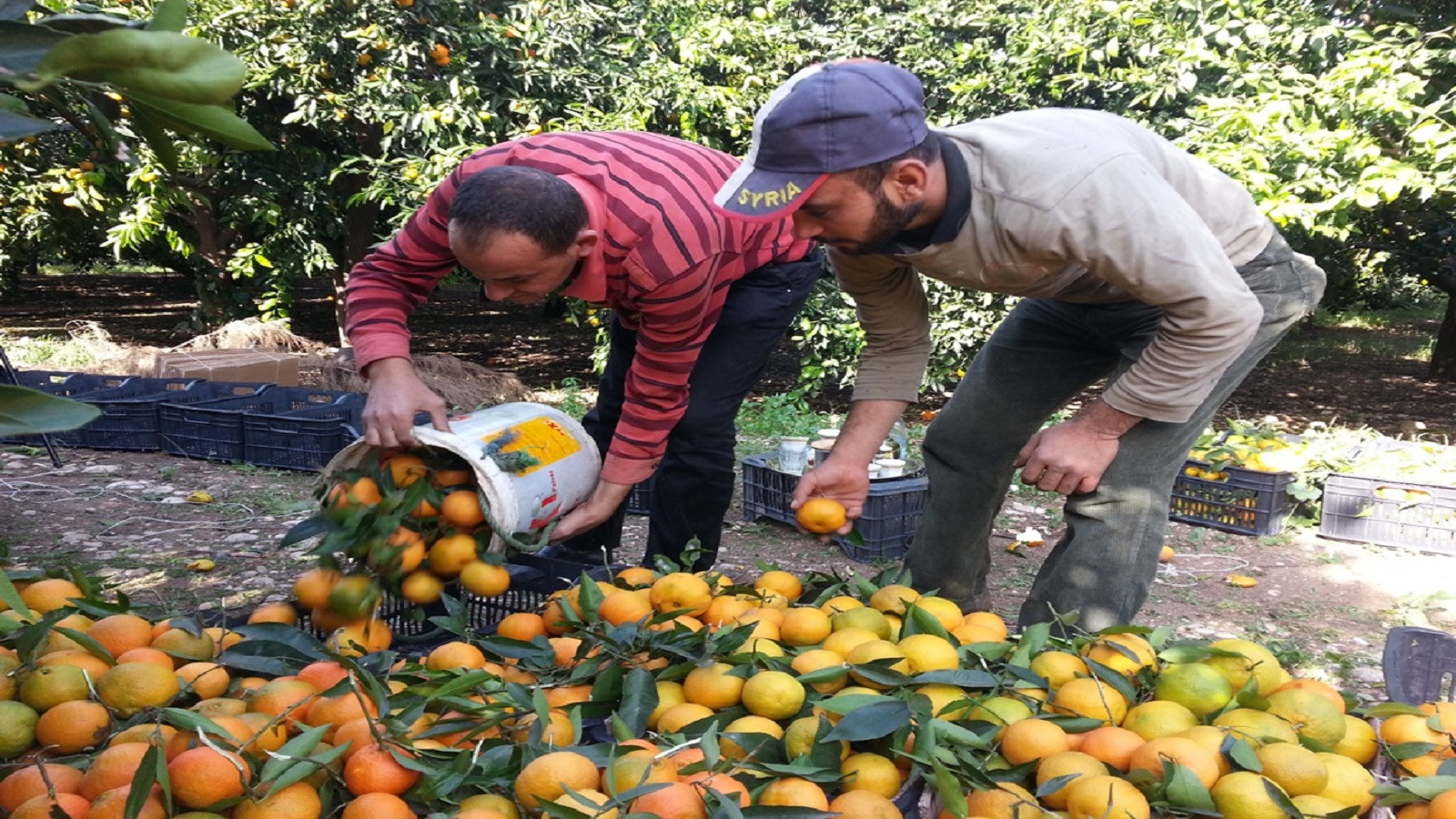 مزارعو لبنان لـ"شهيّب": الحماية لا تكون مجتزأة