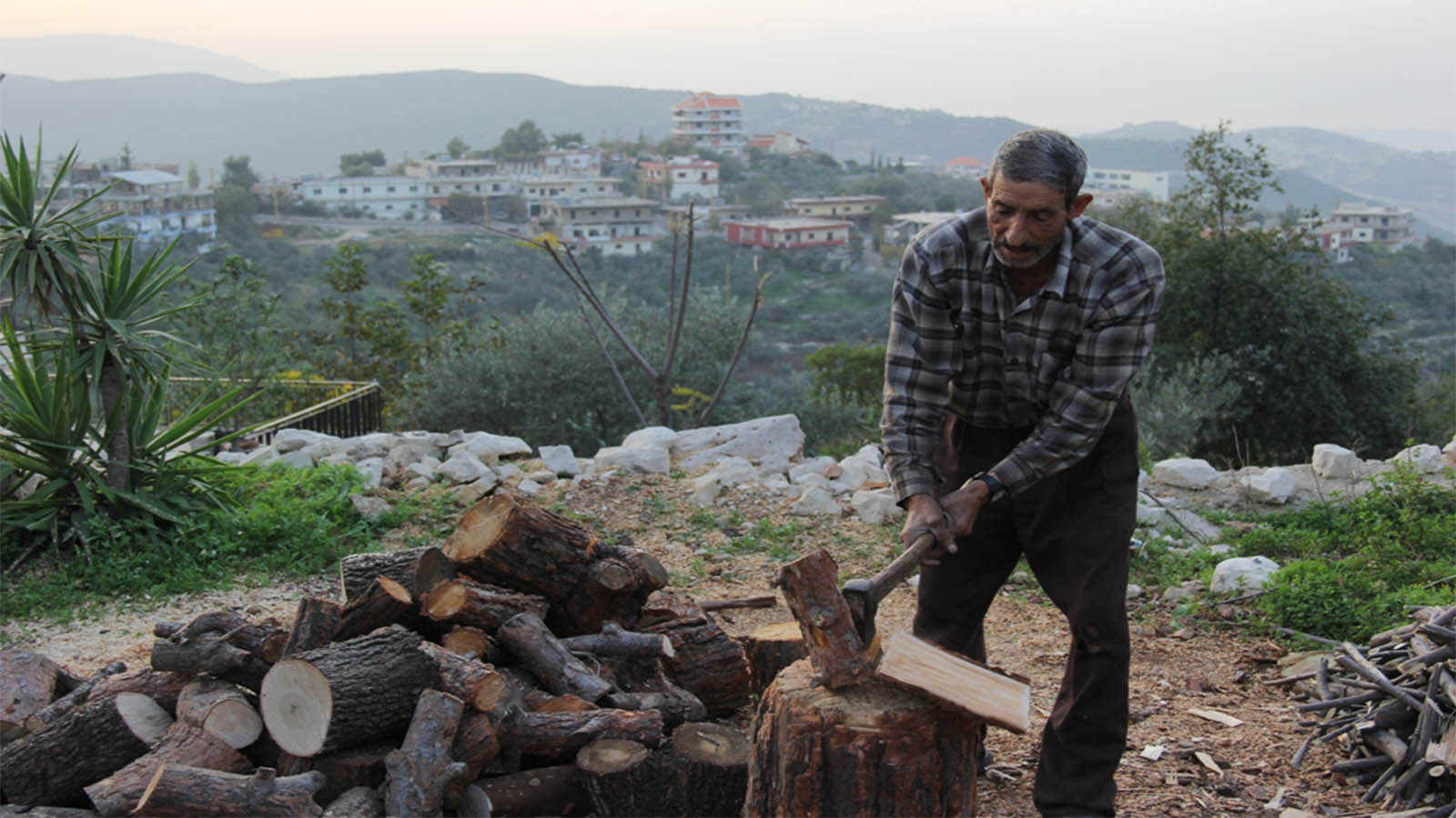 .. في عكار قطع الأشجار لتدفئة الأطفال "حلال"