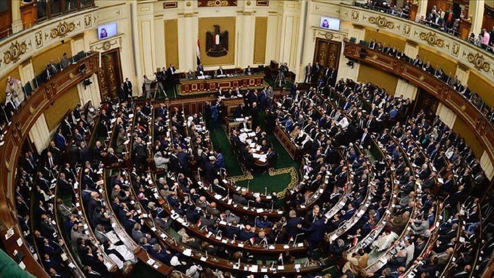 البرلمان المصري: فيلم كارتون طويل جداً