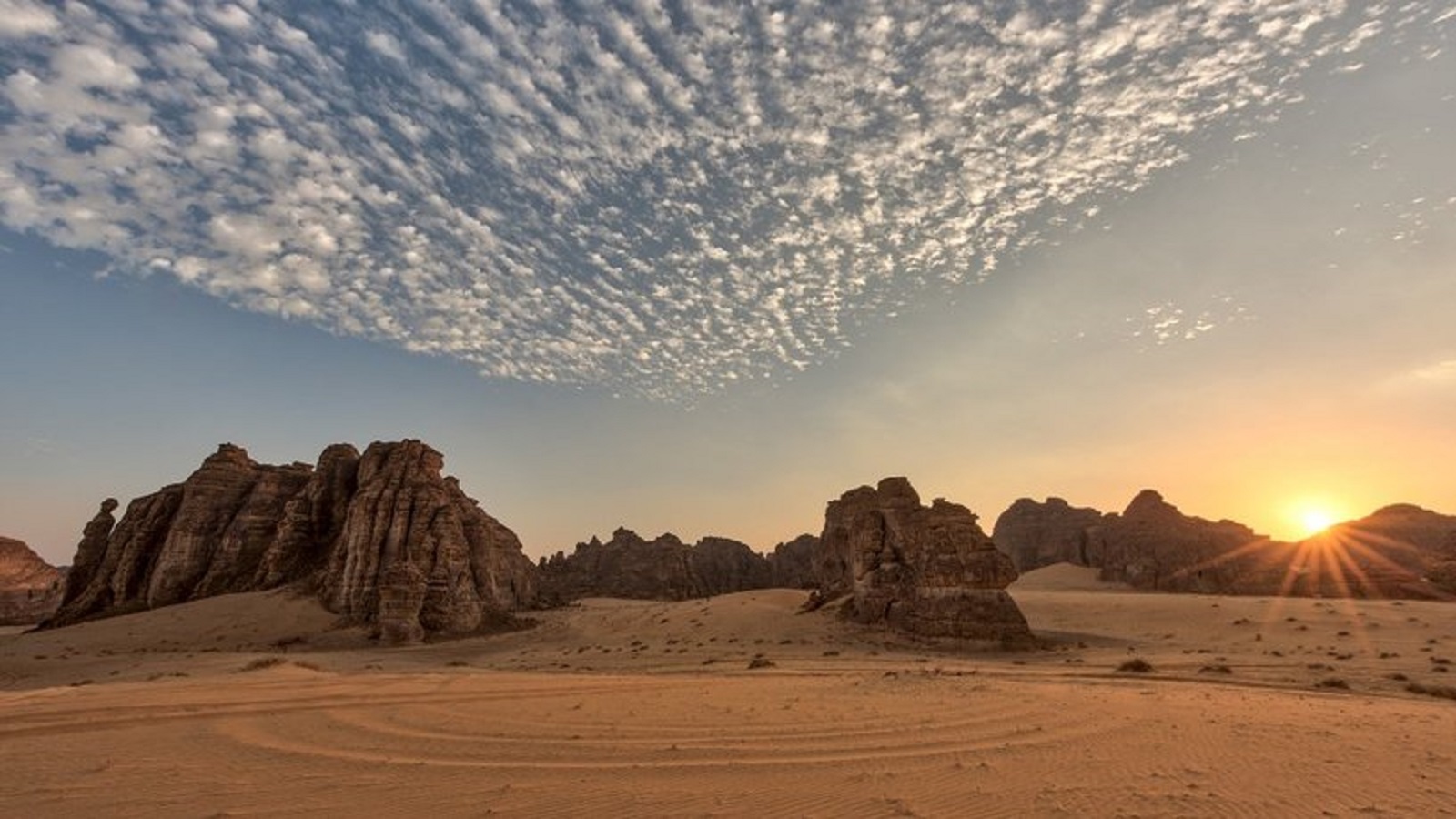 "وادي الفن" في العلا السعودية..الخروج من الغاليري إلى الصحراء