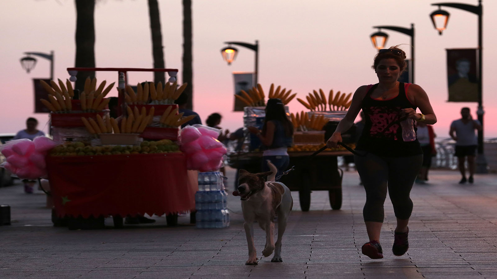 احذروا الكلاب في بيروت: المسؤوليات ضائعة