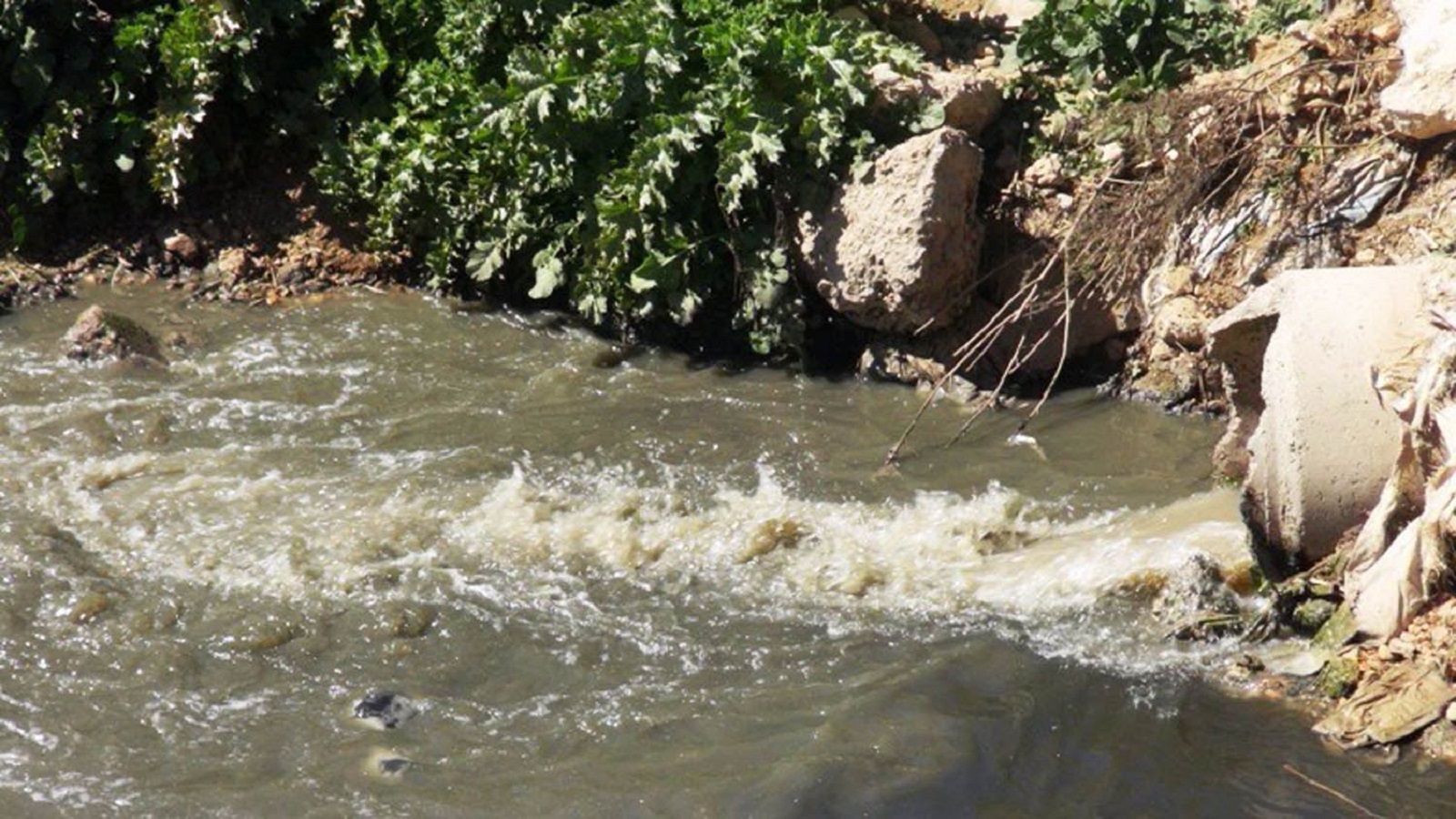 "مصلحة الليطاني" تنشر أرقاماً مرعبة: نهر الموت تلوثاً
