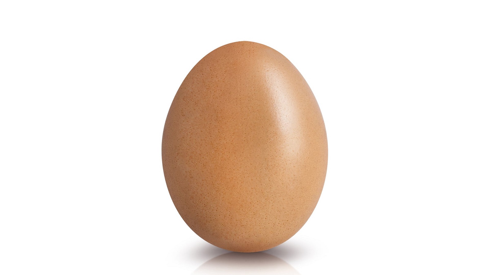 البيضة التي قصمت ظَهر "انستغرام"
