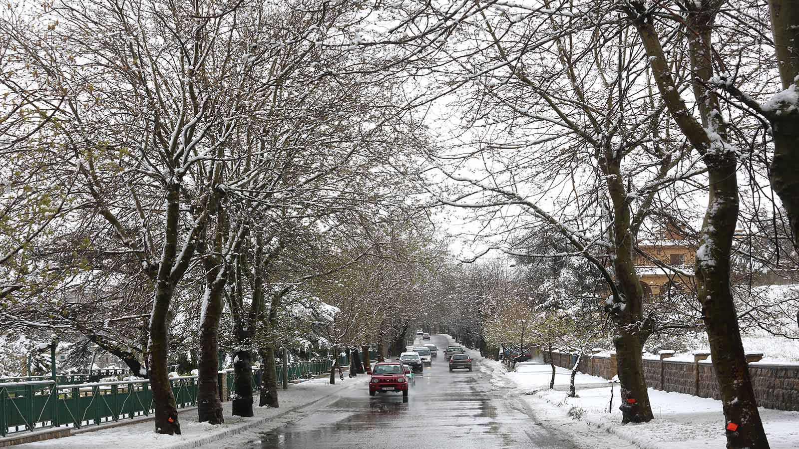 صباح الثلوج في صوفر (علي علوش)