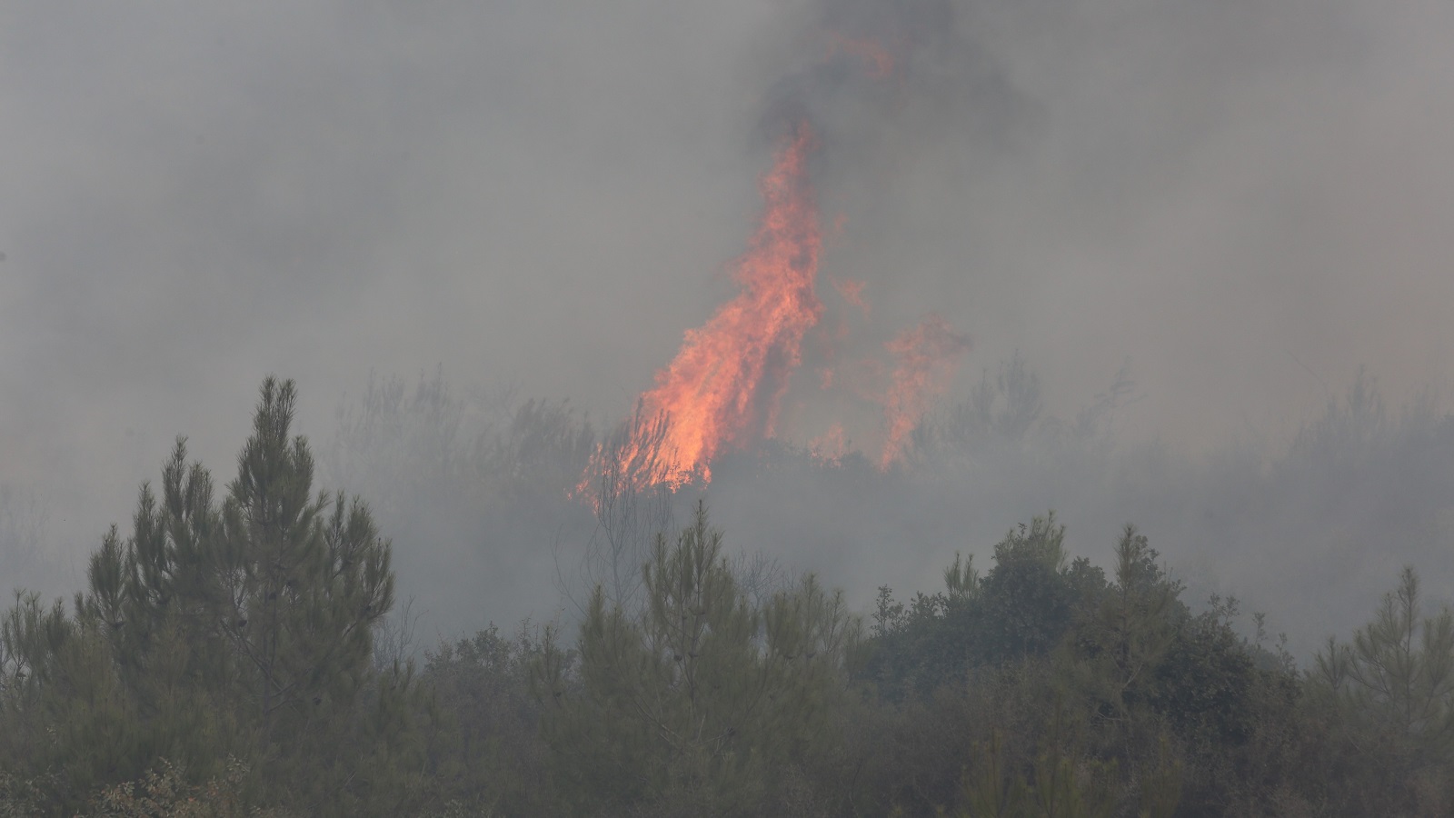 وتيرة الحرائق مرجّحة للتصاعد: خسائر لبنان فادحة