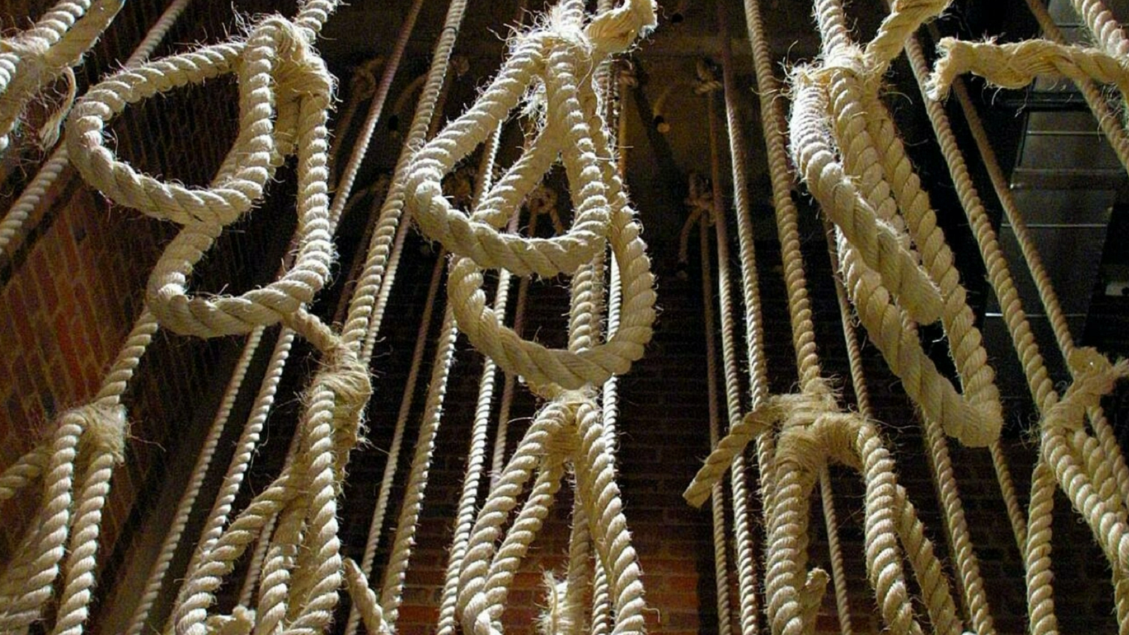 إعدام 86 شخصاً في إيران خلال كانون الثاني