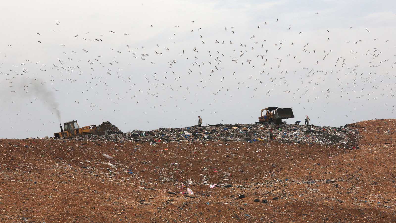 أزمة النفايات في طرابلس: البحث عن حلول يسابق الغضب