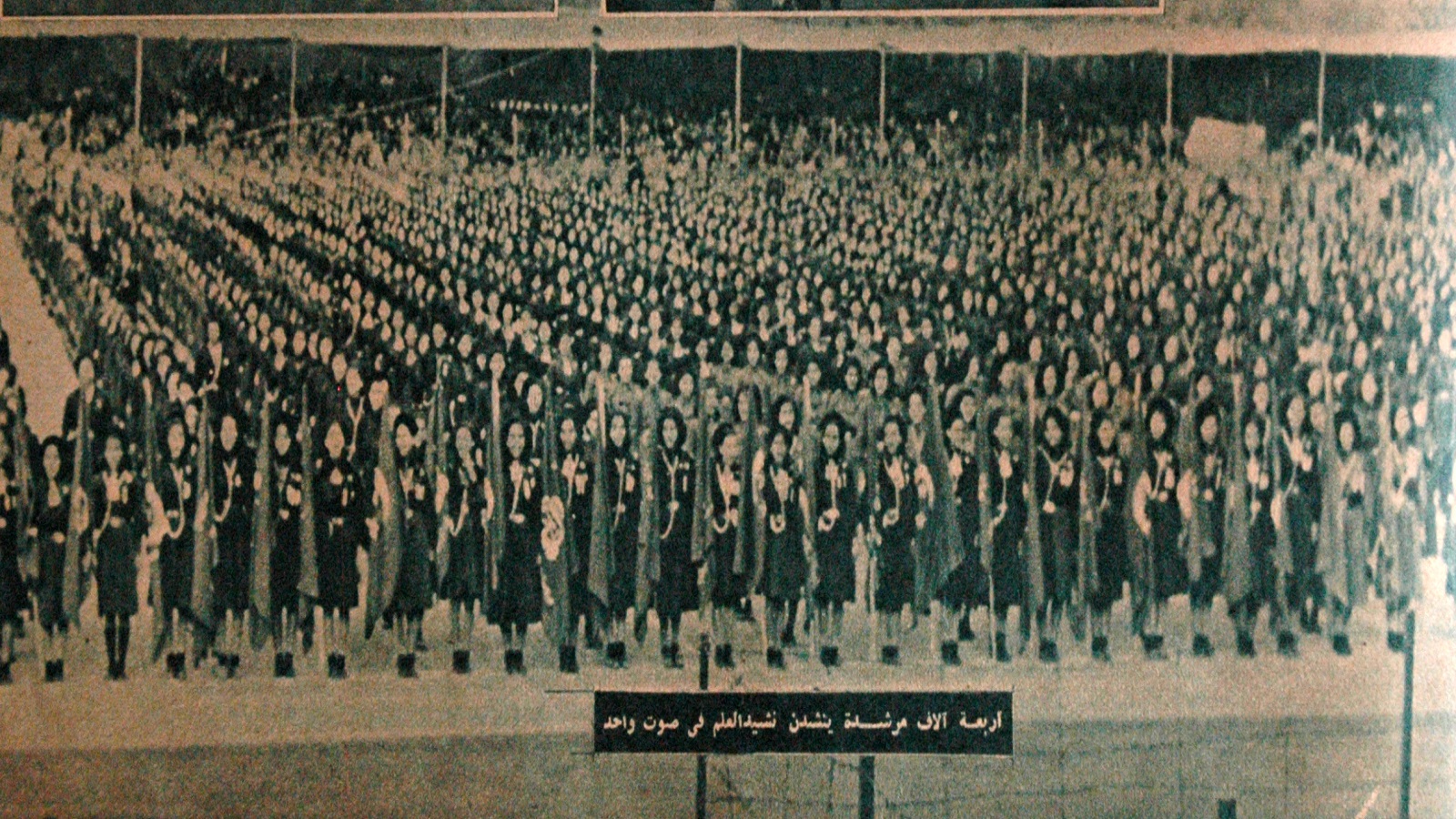تحية العلم، 1949.