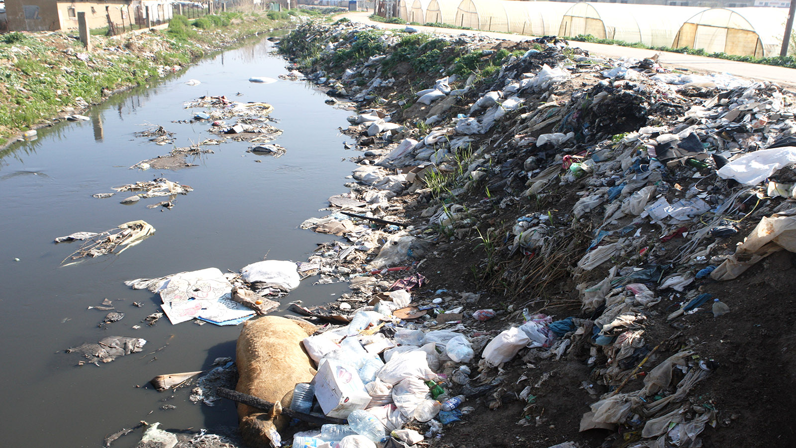 "كانديا" تلوث الليطاني وتسرق مياه اللبنانيين (1)