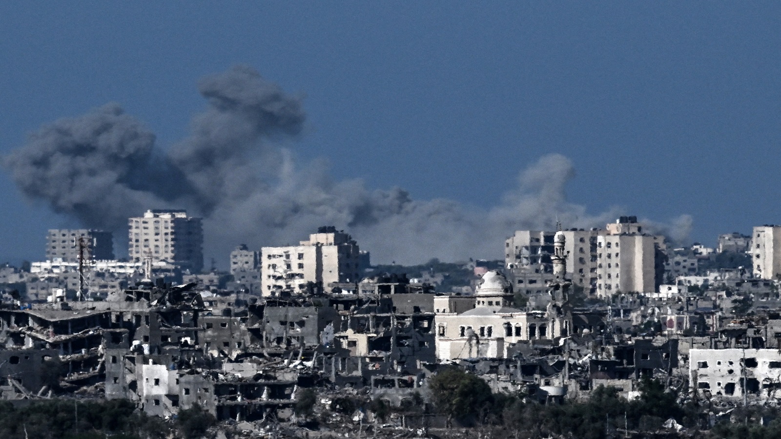 عن غزة وسياسات الإماتة