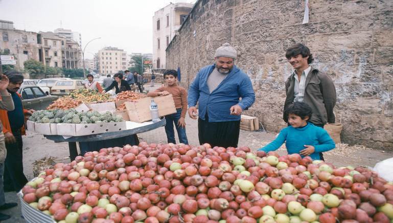 المدن حكاية التفاح اللبناني