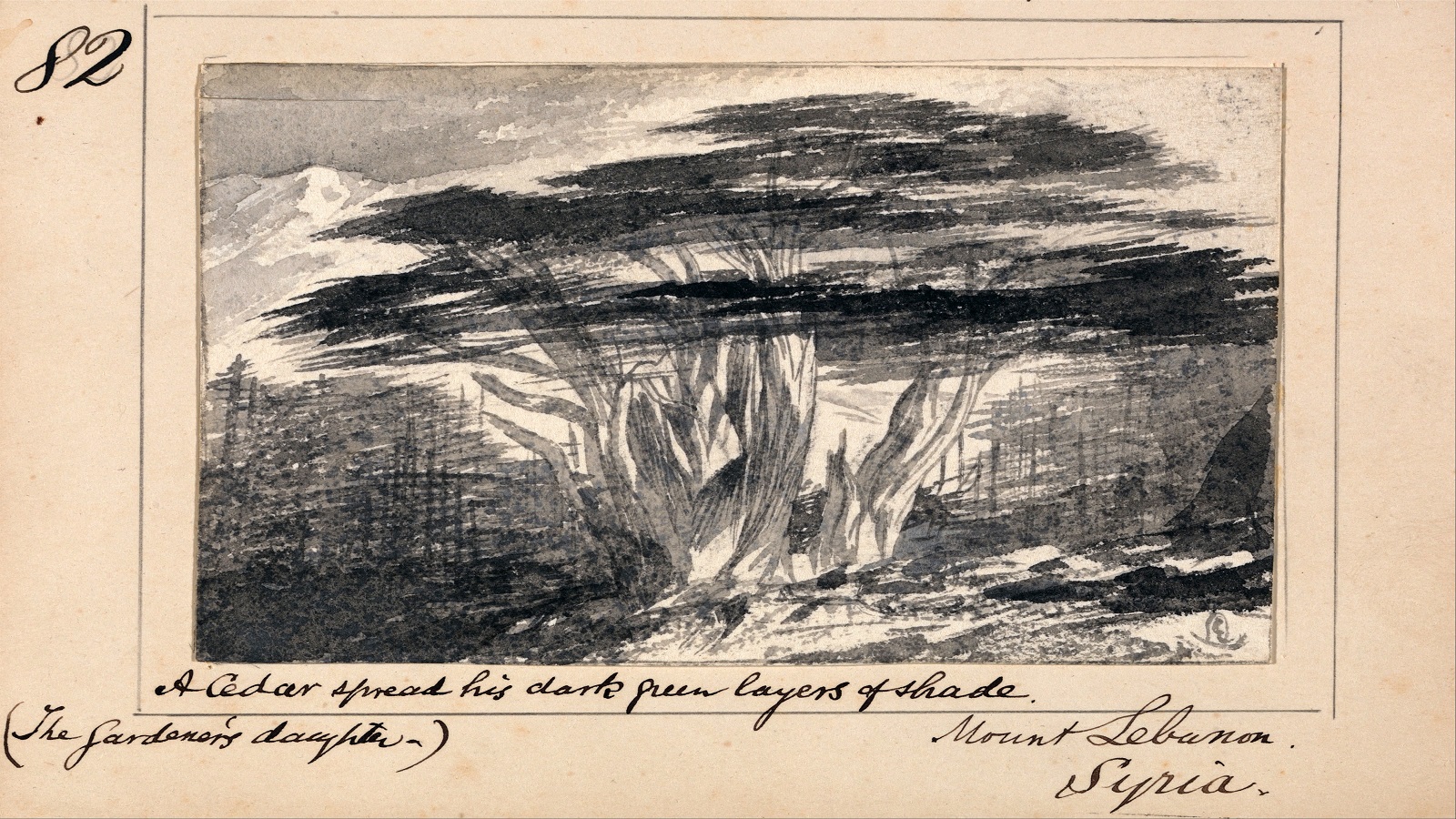  رسم من توقيع الفنان البريطاني أدوار لير في القرن التاسع عشر.