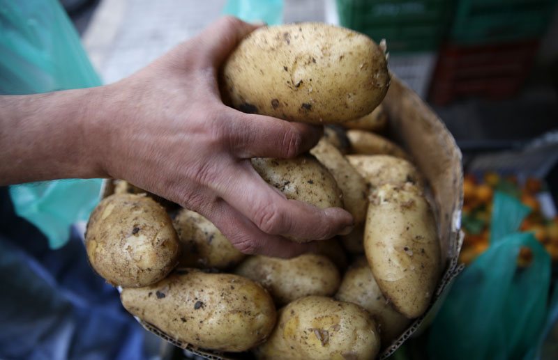 النقابات الزراعية: لحرق شاحنات تهريب البطاطا السورية