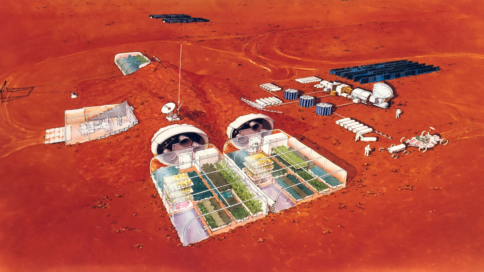 زراعة بندورة وخس وبازلاء على المريخ: الزيارة قريباً