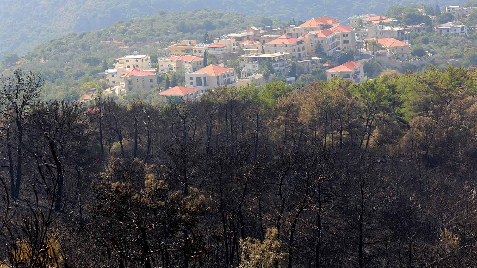 ما بعد الكارثة: غابات لبنان قنبلة موقوتة