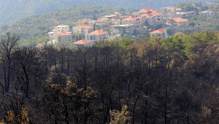 المدن ما بعد الكارثة غابات لبنان قنبلة موقوتة