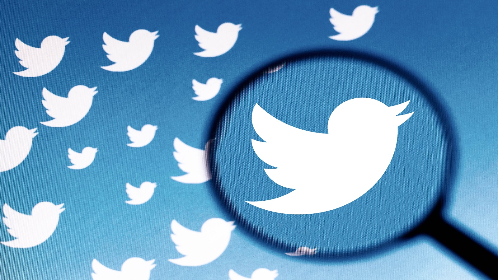 "تويتر": مكالمات مجانية وحذف الحسابات "الكسولة"